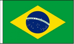 Brazil Hand Waving Flags